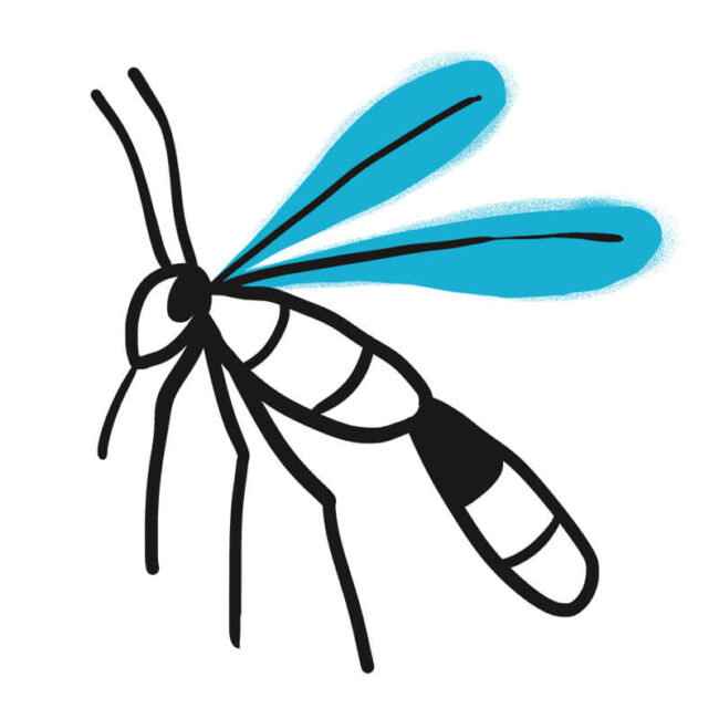 Einfache Illustration einer Stechmücke mit schwarzen Umrissen und zwei blauen Flügeln auf weißem Hintergrund, die einem Traumsymbol aus der Traumdeutung ähnelt, ähnlich wie ein Hund als Traummotiv erscheinen könnte.