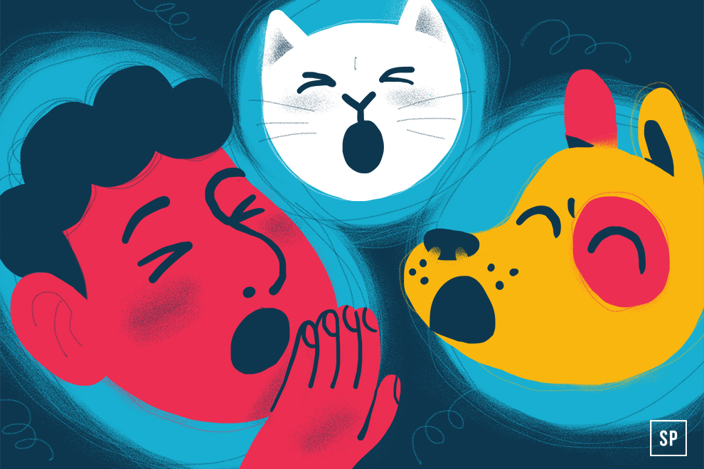 Ein illustrierter Mensch, eine Katze und ein Hund sind alle mit offenem Mund in blauen Kreisen auf dunklem Hintergrund abgebildet, um zu verdeutlichen, dass Gähnen ansteckend ist - auch über Arten hinweg.