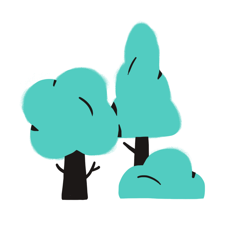 Einfache Illustration von zwei Bäumen und einem Strauch mit schwarzen Stämmen und Ästen und türkisfarbenem Laub vor einem weißen Hintergrund.