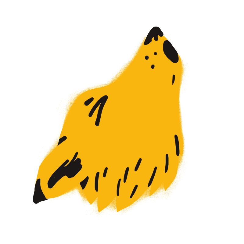 Eine einfache, stilisierte Illustration eines gelben Wolfs oder Hundes, der heult, mit schwarzen Akzenten an Nase, Ohr und Schwanz, vor einem schlichten weißen Hintergrund.