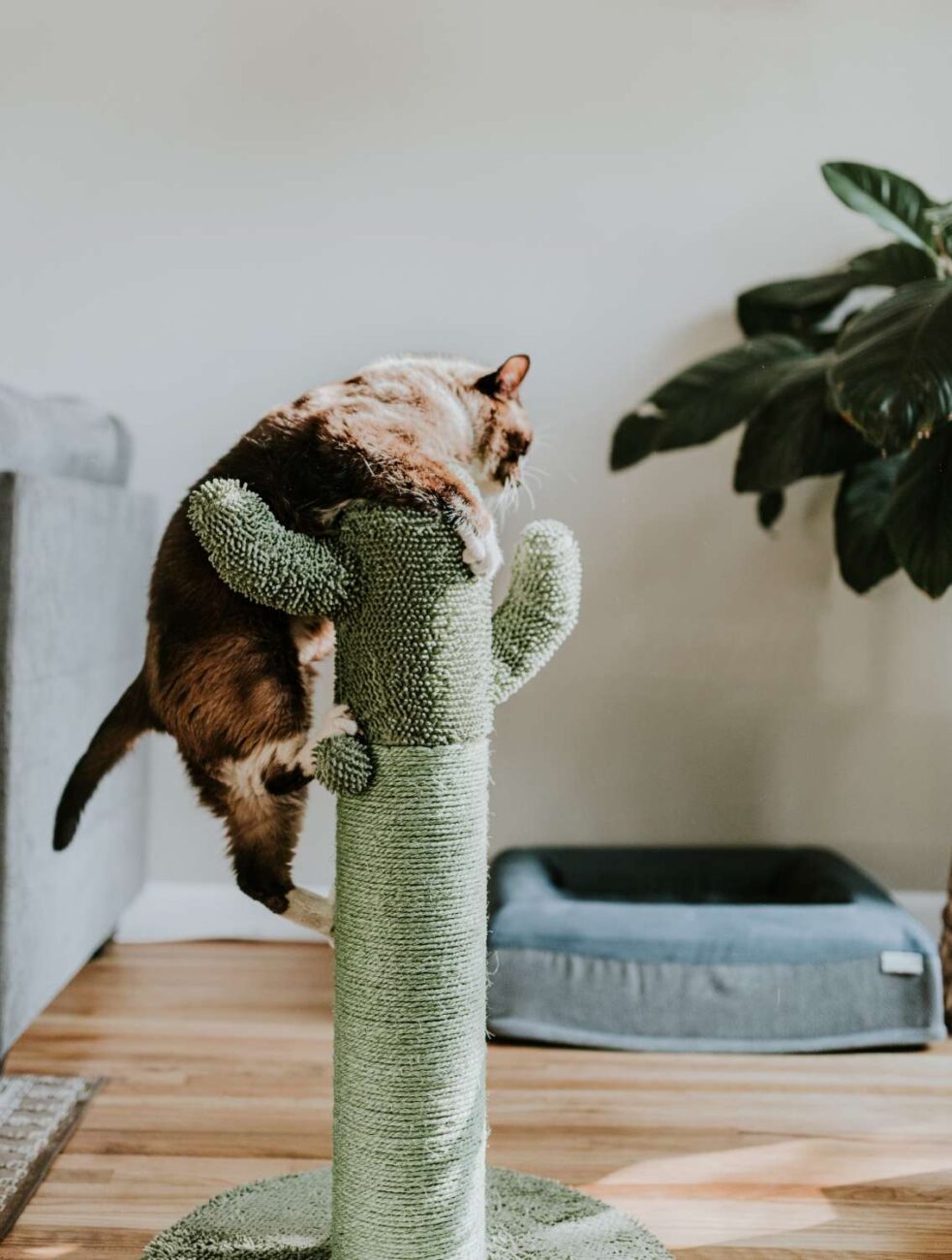 Snooze Project