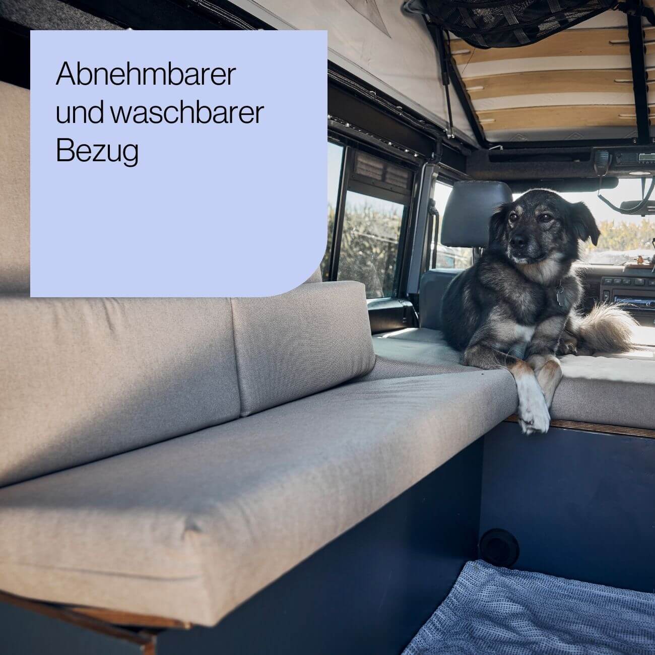 11 Ein Hund liegt auf einer beigen gepolsterten Bank in einem Wohnmobil. Sonnenlicht strömt durch die Fenster. Der Text auf einem blauen Quadrat lautet: "Abnehmbarer und waschbarer Bezug".