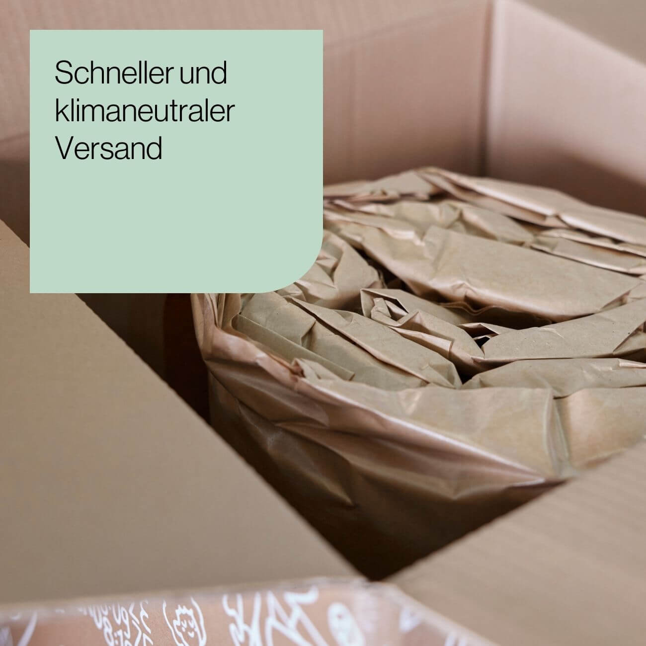 12 Eine Pappschachtel, die zum Schutz mit zerknülltem braunem Packpapier gefüllt ist. In der Ecke befindet sich ein grüner Kasten mit deutscher Aufschrift: Schneller und klimaneutraler Versand (Fast and climate neutral shipping).