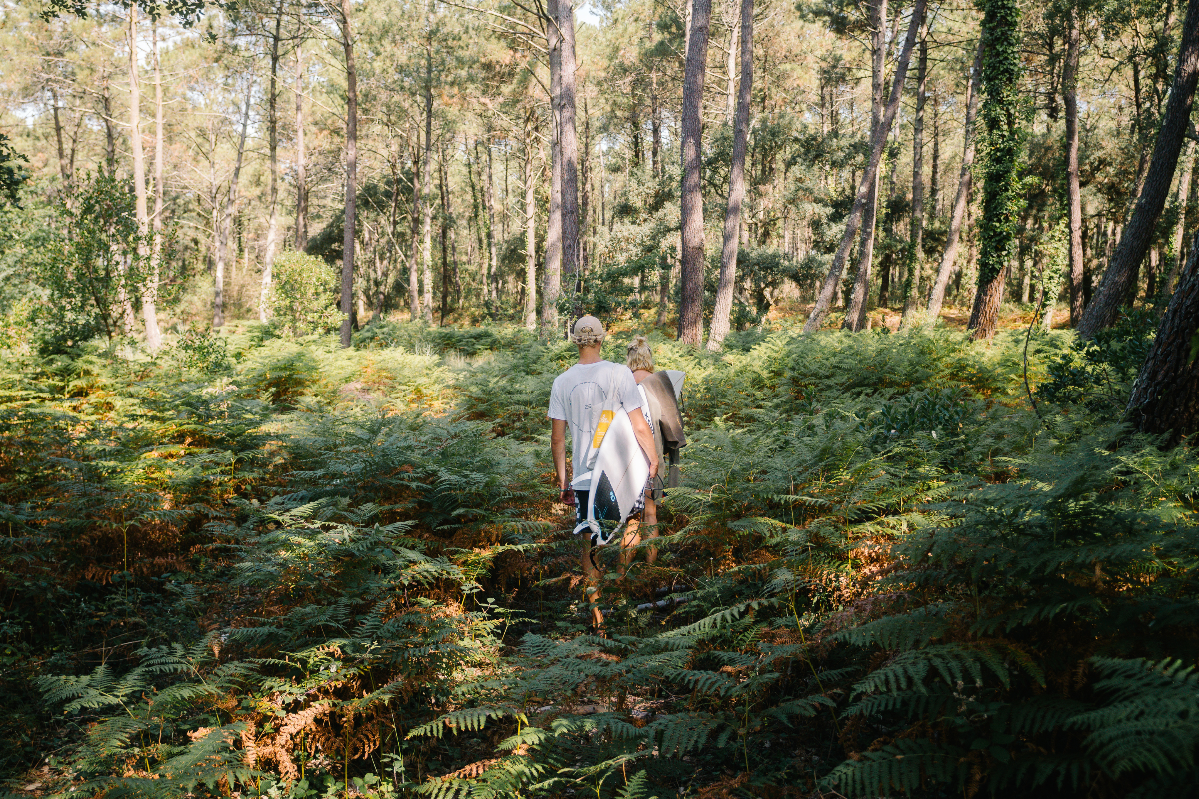 Zwei Personen mit Surfbrettern laufen durch einen dichten, sonnenbeschienenen Wald mit hohen Bäumen und grünen Farnen, auf einem schmalen Pfad von der Kamera weg - eine Erlebniswelt aus Natur und Abenteuer.