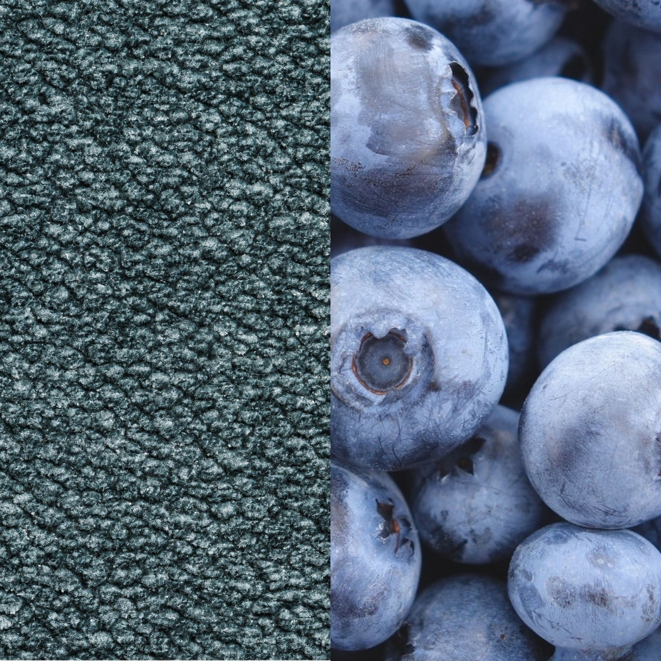 Das Bild ist in zwei Hälften geteilt: Die linke Seite zeigt eine Nahaufnahme eines blauen, strukturierten Stoffes, der an die gemütlichen Innenräume von Brammibal erinnert, während die rechte Seite eine Traube frischer Blaubeeren zeigt.